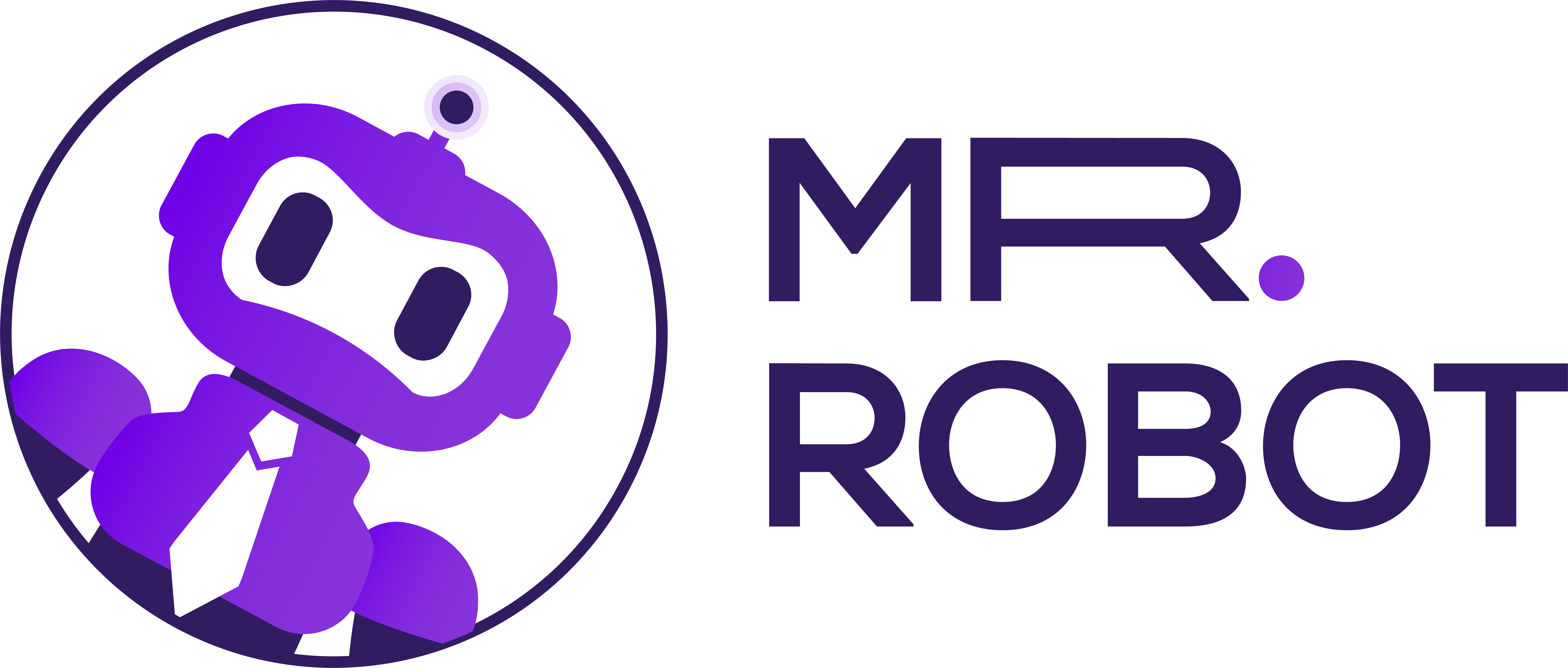 Mr Robot